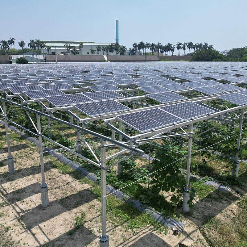 Agrivoltaic farm in Taiwan